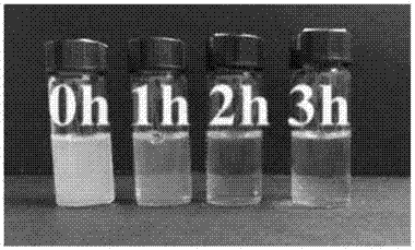 Water-soluble quercetin nanometer particles and preparation method thereof