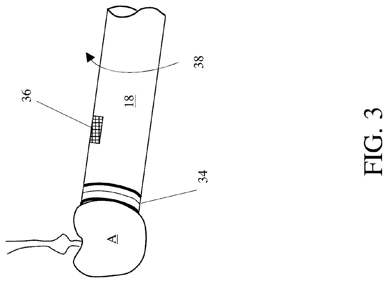 System and method for harvesting fruit