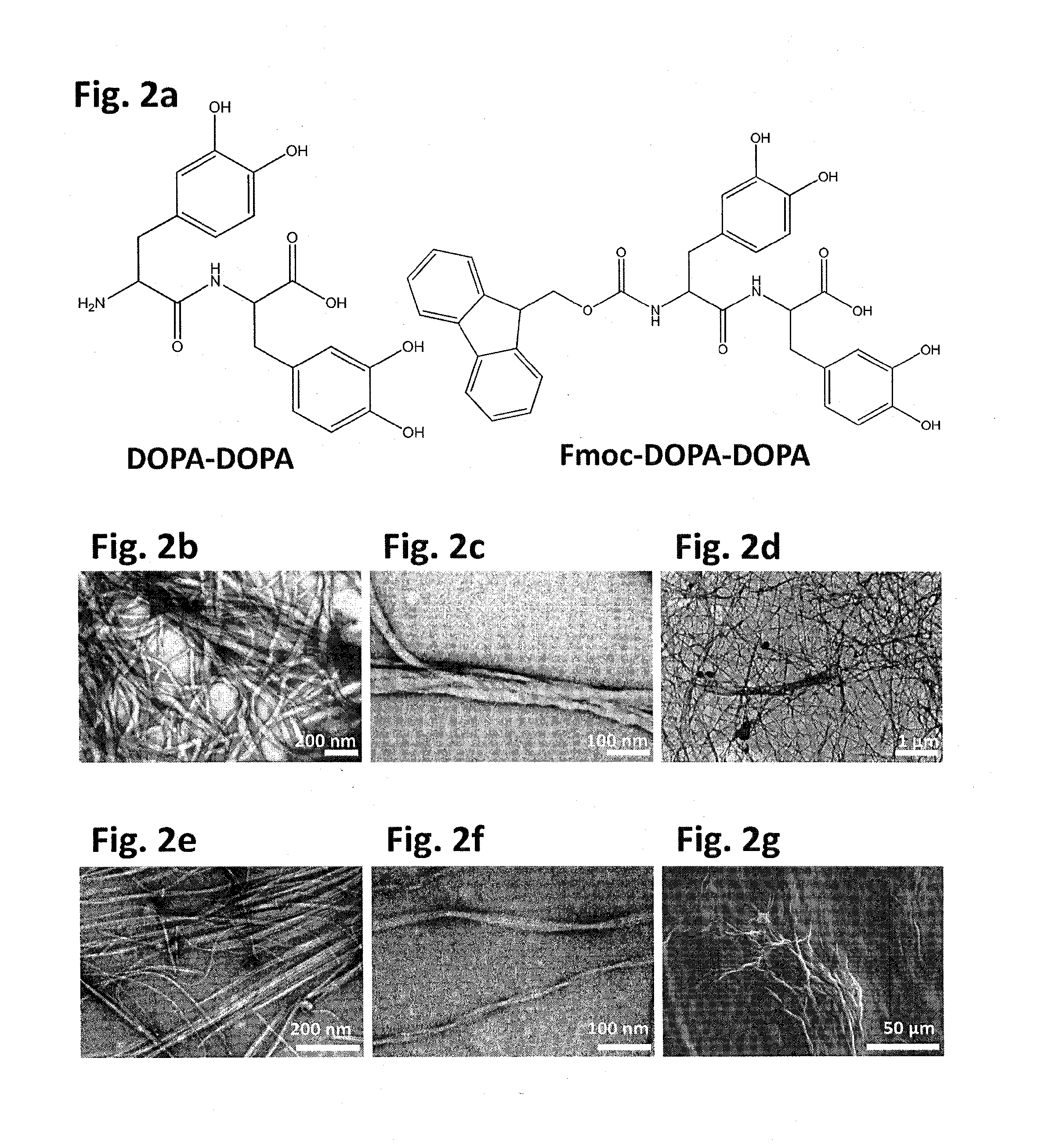 Self-assembled micro-and nanostructures