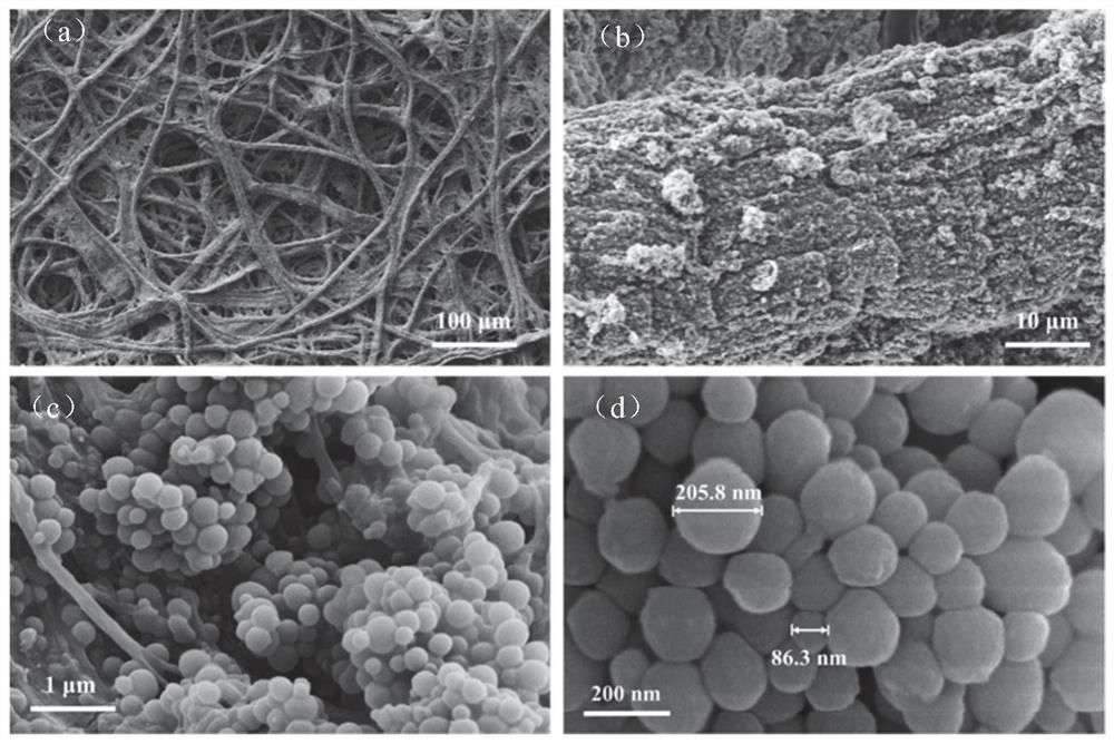 Antibacterial and mildew-proof super-hydrophobic oil-water separation paper with high separation flux and preparation method thereof