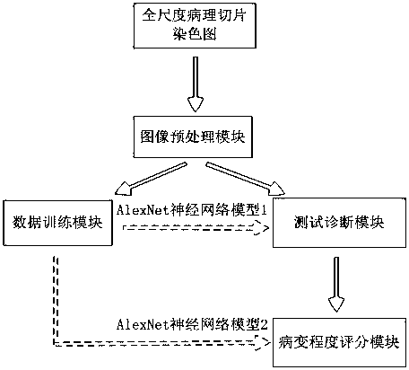 Rapid diagnosis and scoring method for full-scale pathological section based on deep learning