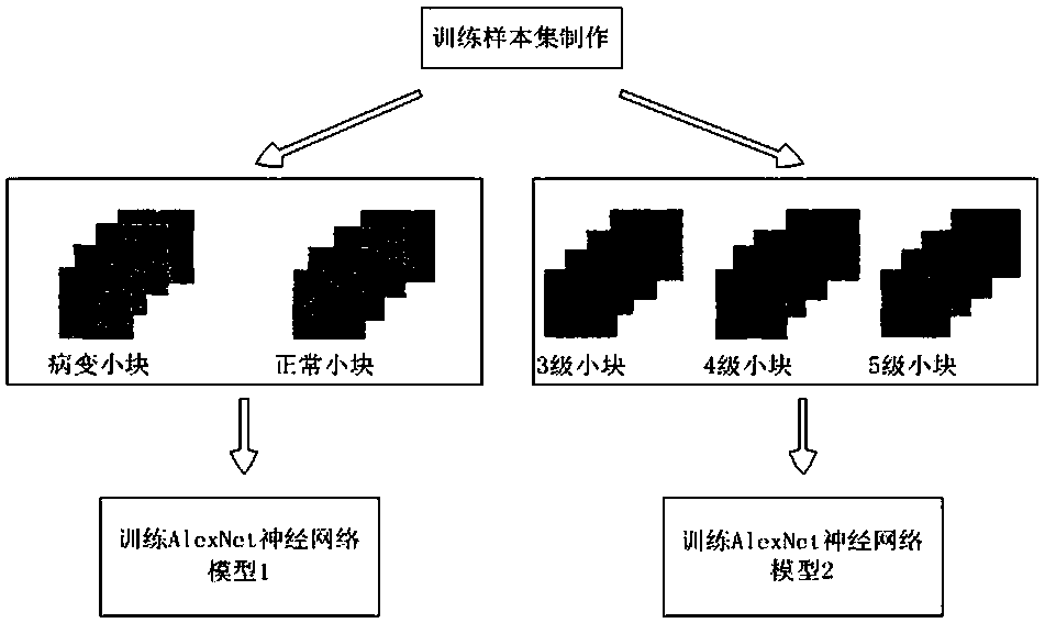 Rapid diagnosis and scoring method for full-scale pathological section based on deep learning