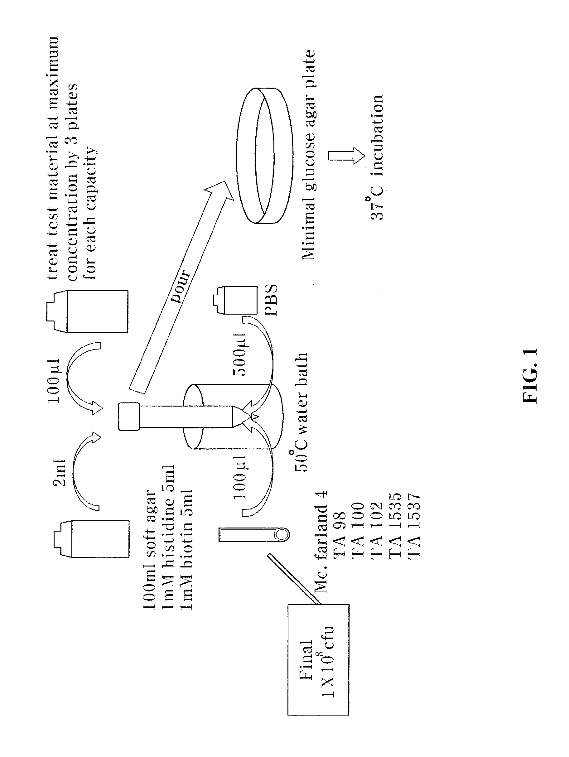 Composition comprising egg white combined chalcanthite for preventing or treating cancer