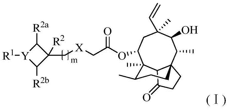 Pleuromutilin antibiotics