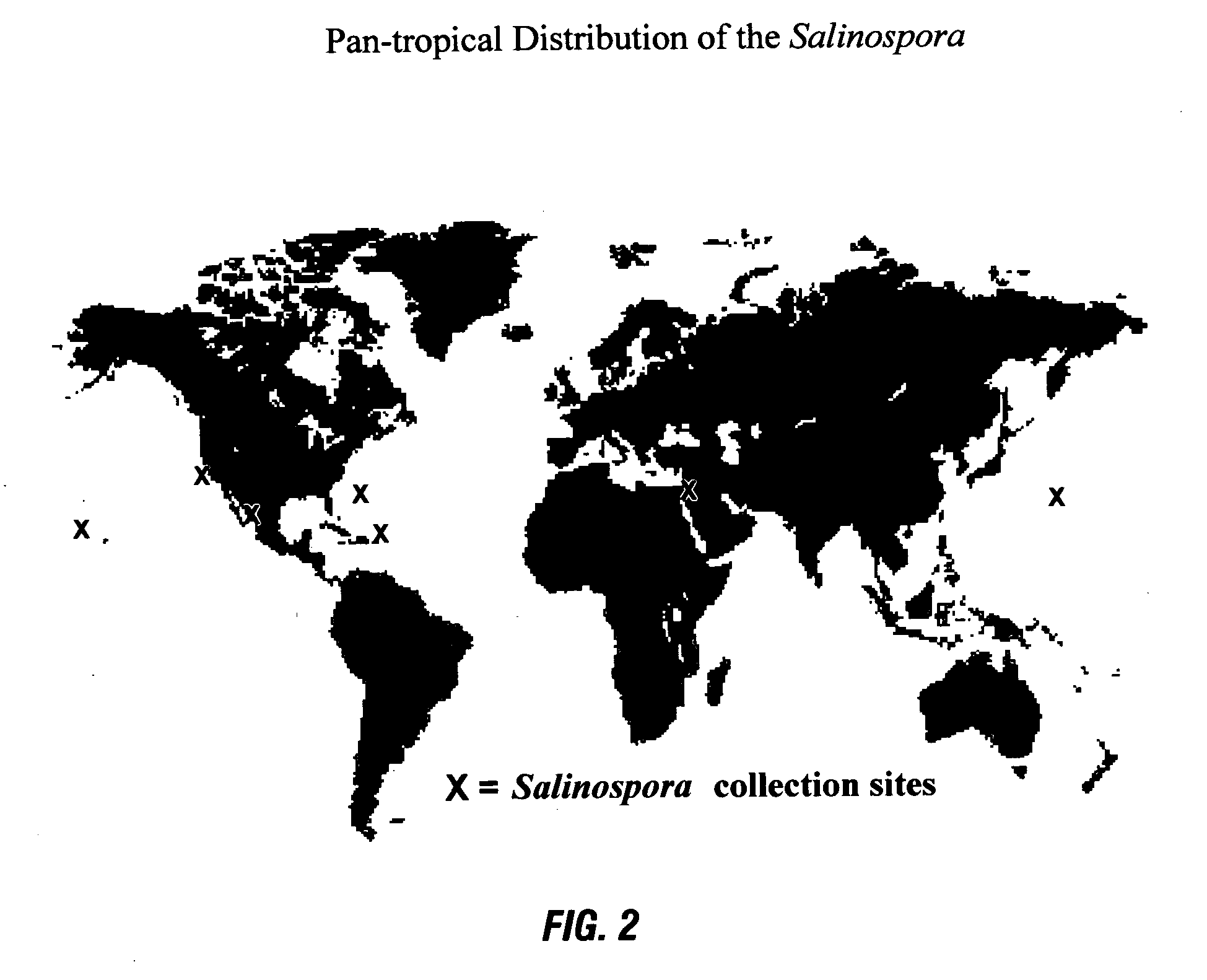 Methods of using [3.2.0] heterocyclic compounds and analogs thereof