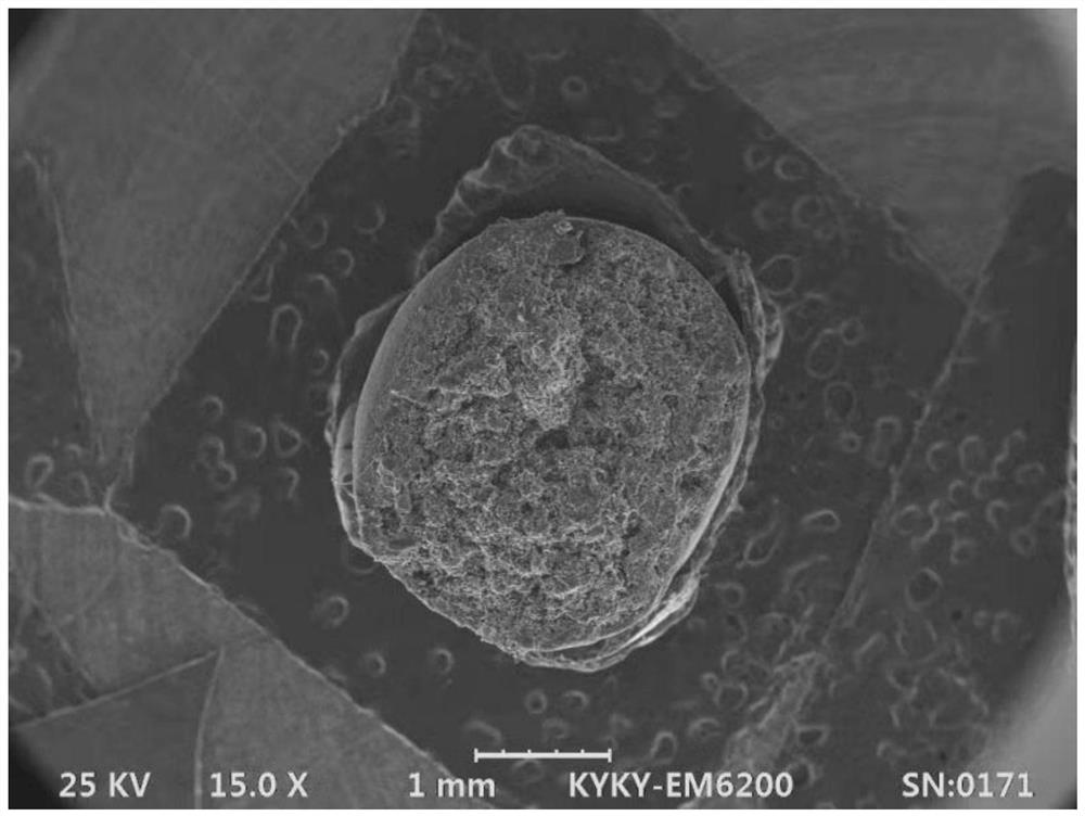 Seaweed master batch and manufacturing method of EVA foam