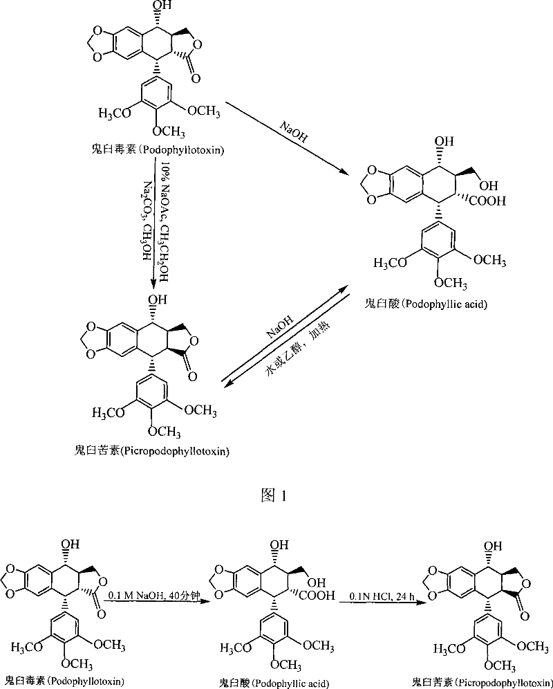 Method for converting podophyllinic acid lactone into podophyllic acid and picropodophyllin