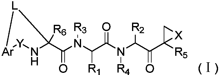 Tripeptide macrocyclic derivative as well as preparation method and application thereof