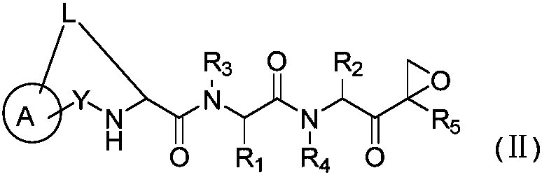 Tripeptide macrocyclic derivative as well as preparation method and application thereof