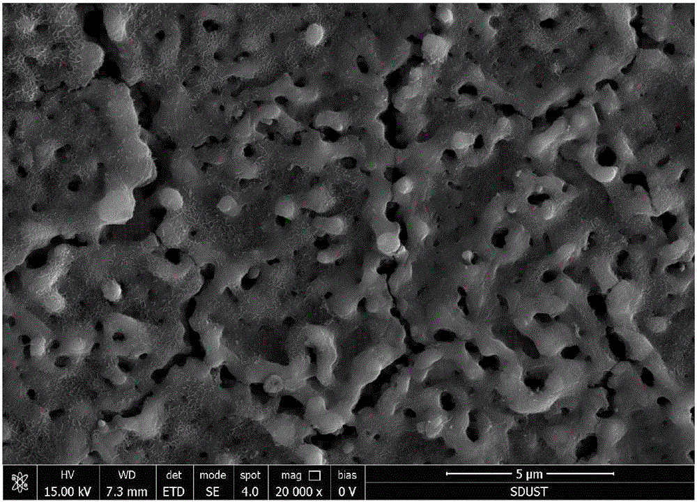 Multi-coating composite material taking magnesium/magnesium alloy as matrix and preparation method of multi-coating composite material