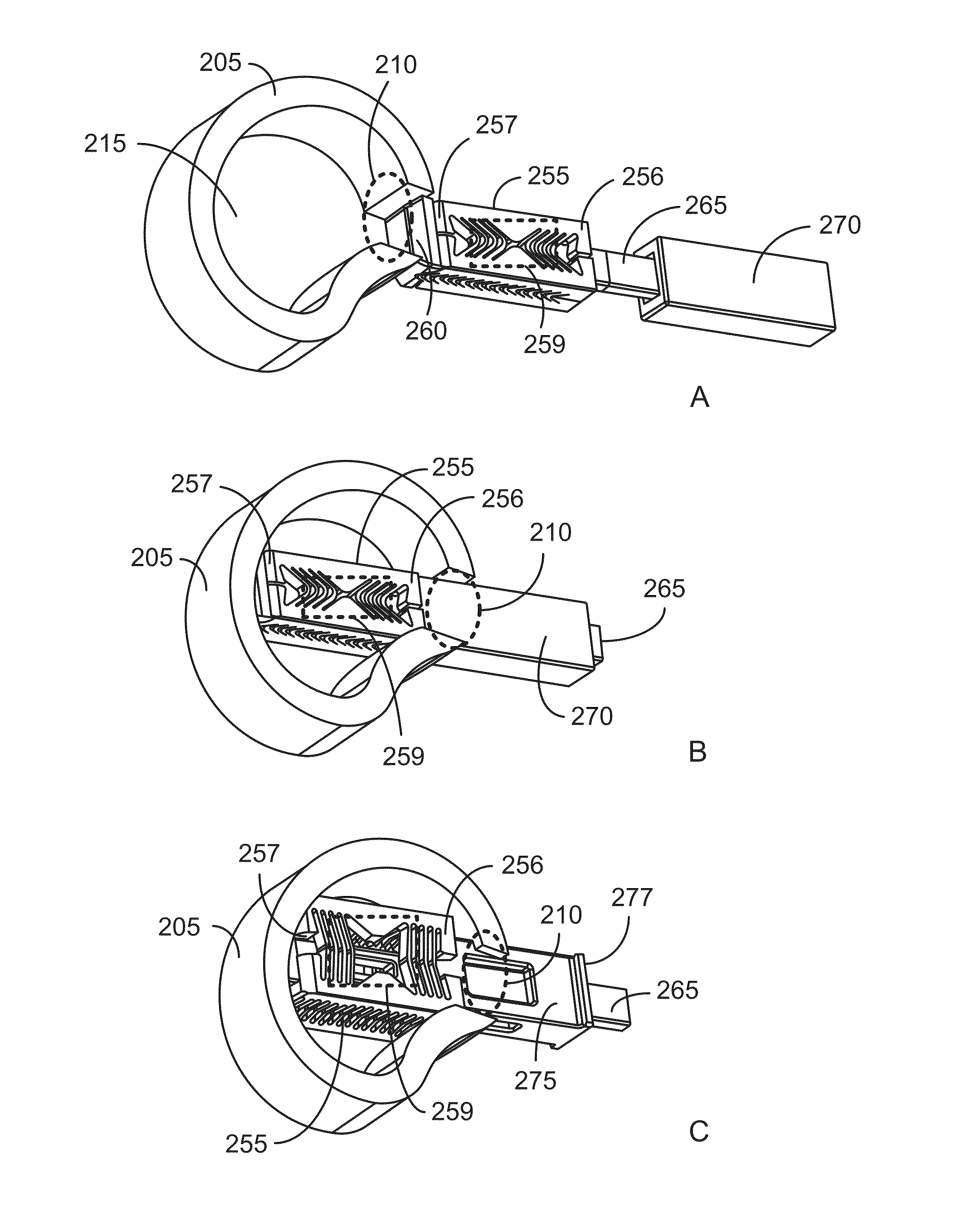 Intervertebral scaffolding system