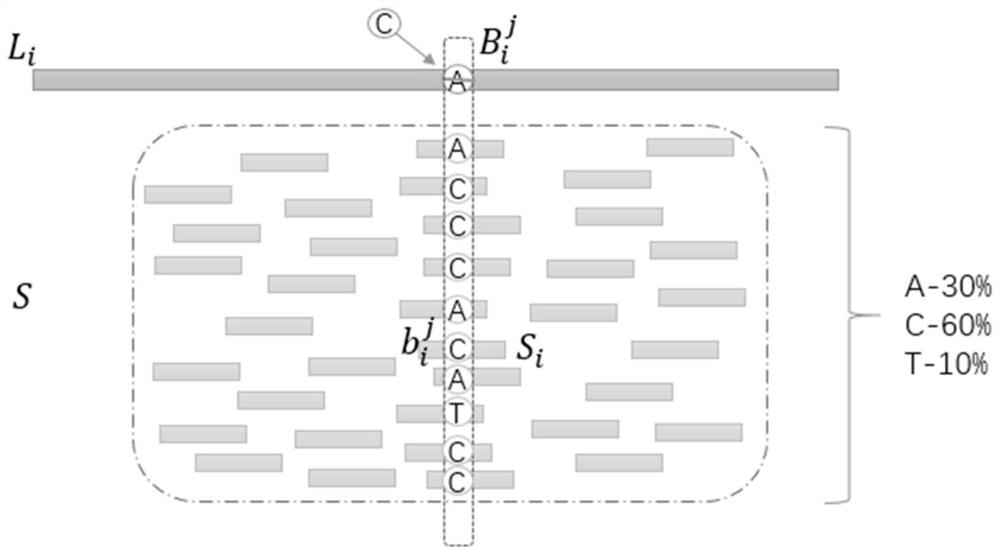 Hybrid methods for correcting sequencing errors in third-generation sequencing data under heterozygous variation