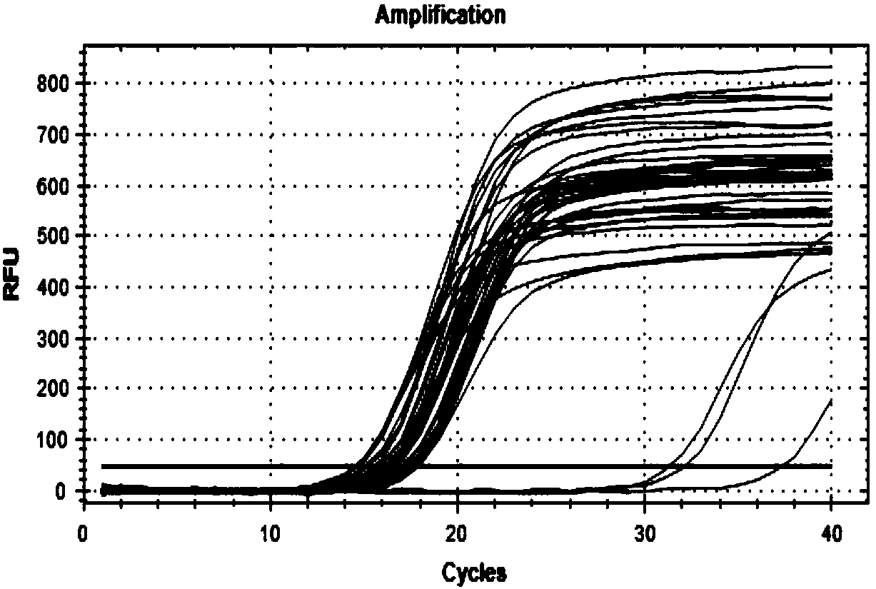 Cell line capable of stably expressing protein P54 of African swine fever virus as well as preparation and application of cell line