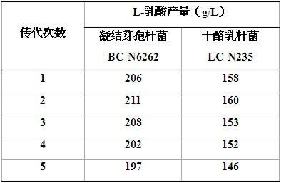 Bacillus coagulans and application thereof in mixed fermentation to produce L-lactic acid