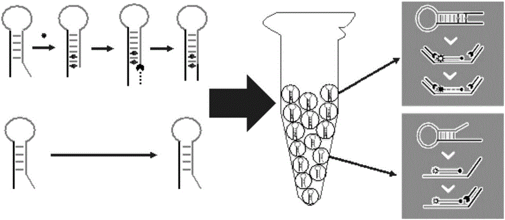 Method for quantitatively detecting mercury ions in liquid sample and kit