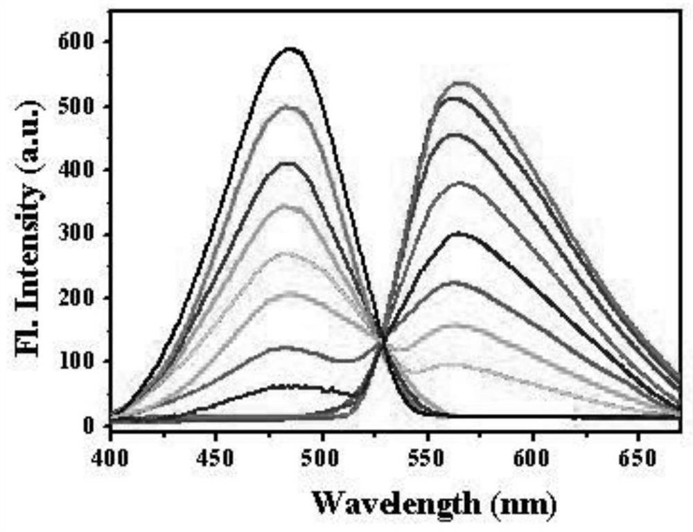 A kind of fluorescent probe for detecting hypochlorite ion and its preparation method and application