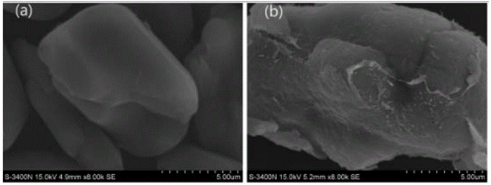 Nanocellulose surface-modified core-shell structure fire retardant, and preparation method and application of fire retardant