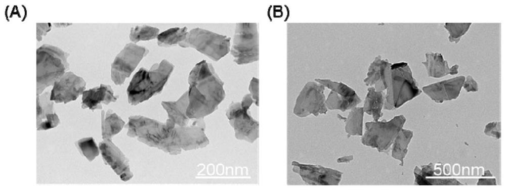 Targeted drug loading system based on black phosphorus nanosheets and preparation method of targeted drug loading system