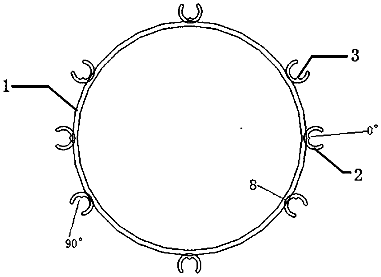 Two-section type parallel projection support device for shooting root tip piece