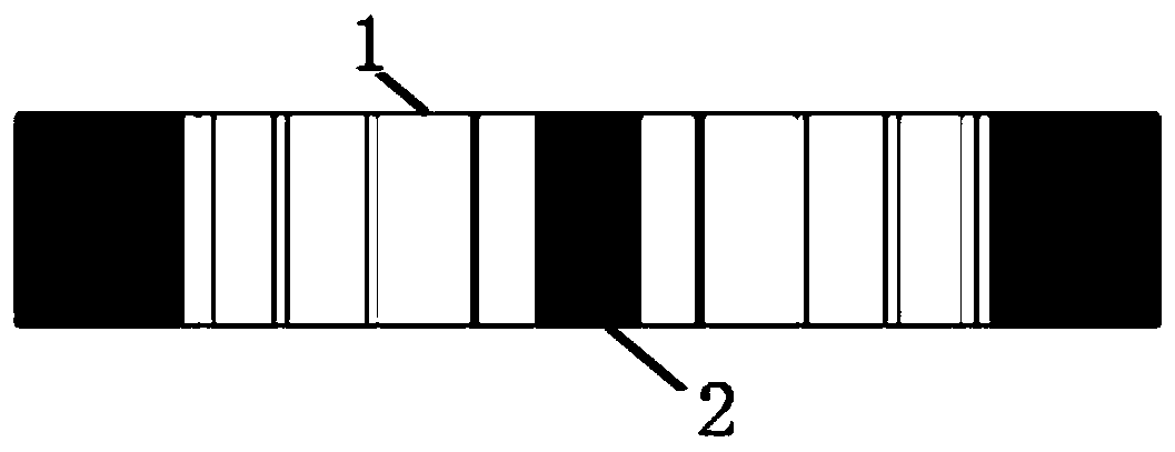 Two-section type parallel projection support device for shooting root tip piece