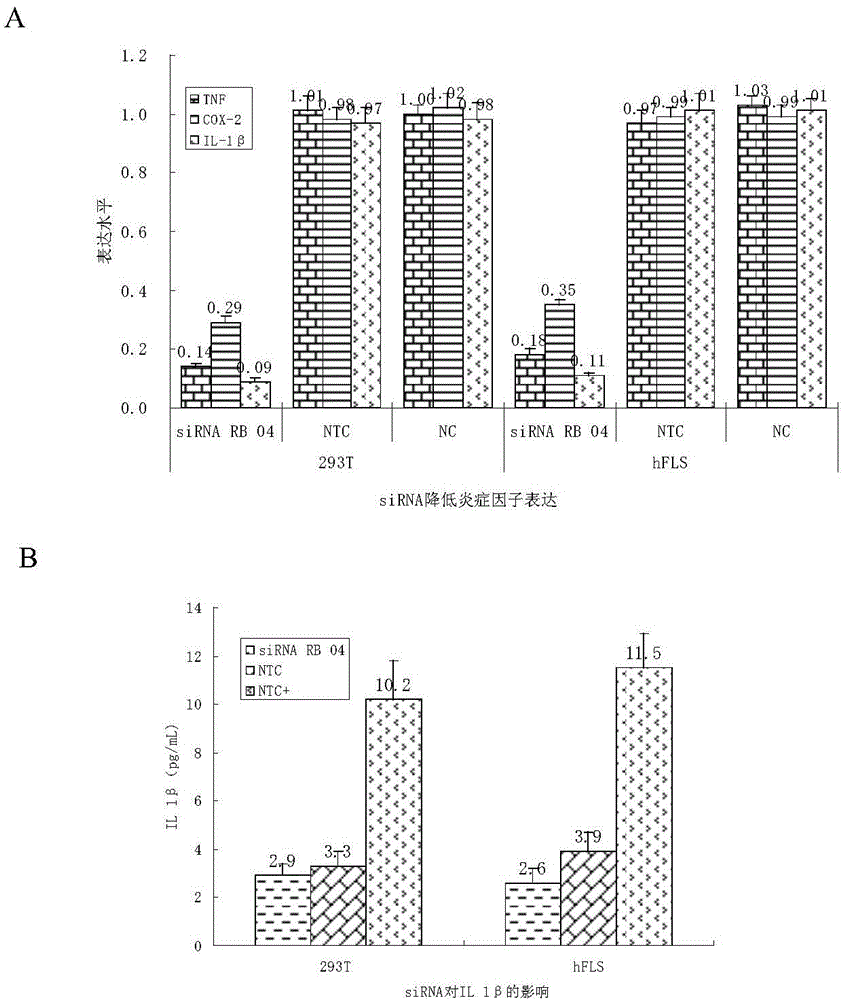 SiRNA (small interfering ribonucleic acid) composition inhibiting ADAMTS-5 (a disintegrin-like and metalloproteinase with thrombospondin type 1motifs-5) and ADAM17 (a disintegrin-like and metalloproteinase with thrombospondin type 1motifs 17) genes and application of siRNA composition