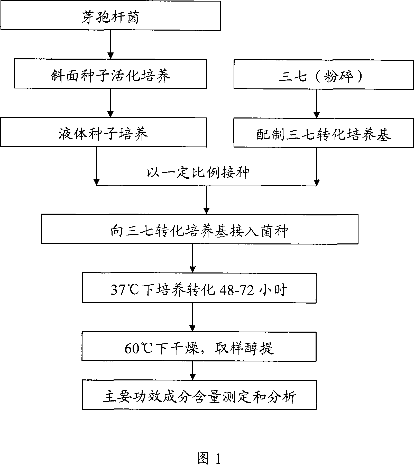 Method for improving the main efficacy composition of panax notoginseng through zymolysis