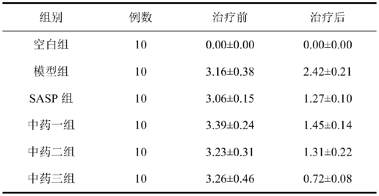 Traditional Chinese medicine composition for treating ulcerative colitis