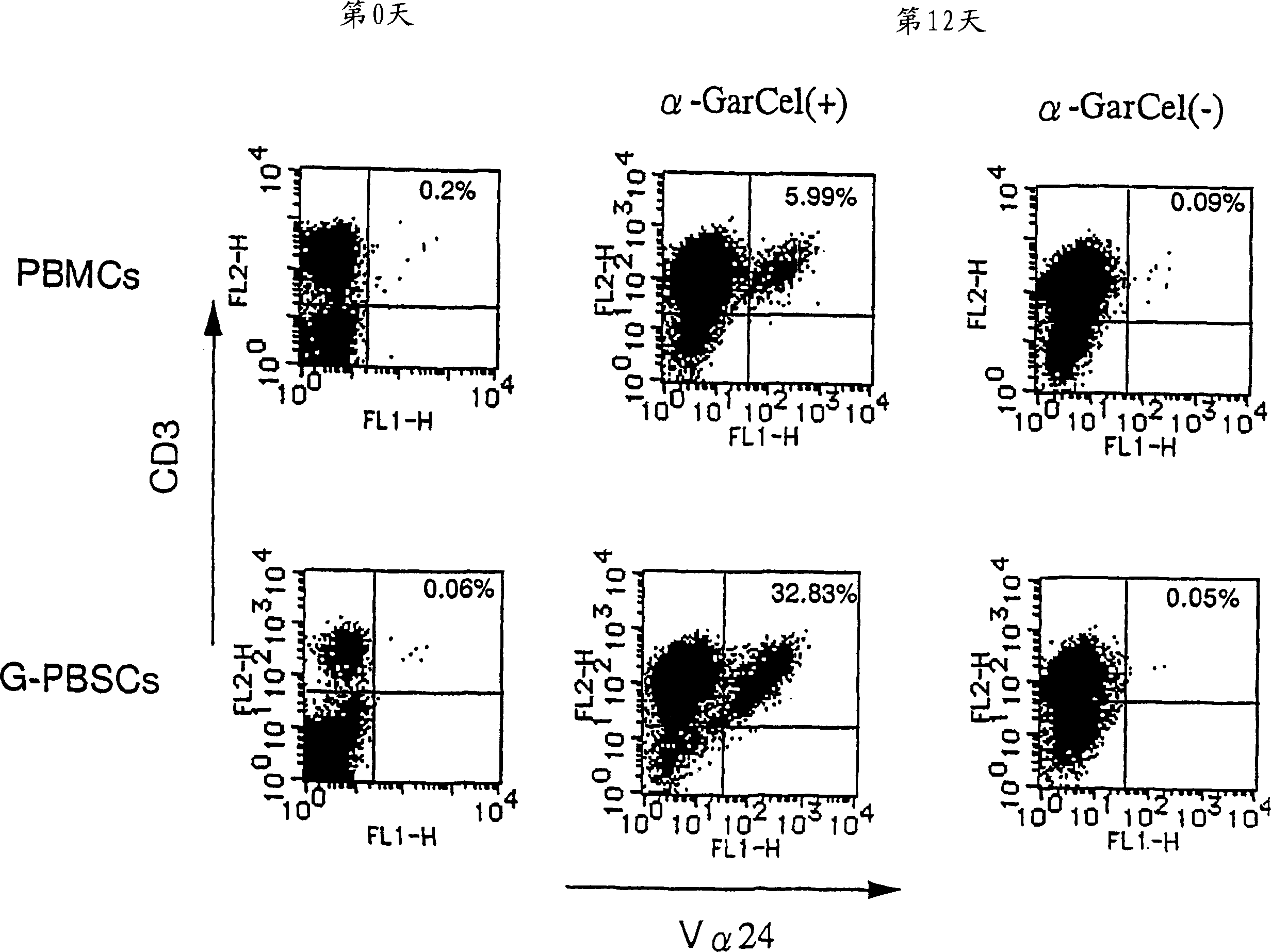 Method of amplifying natural killer T cells