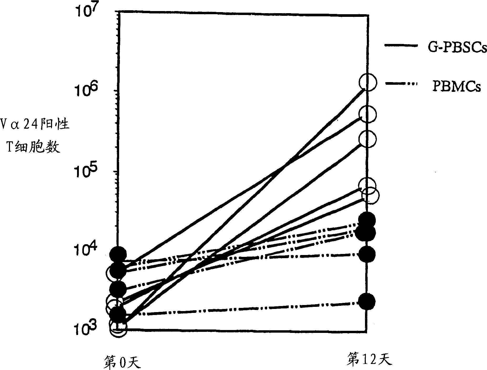 Method of amplifying natural killer T cells