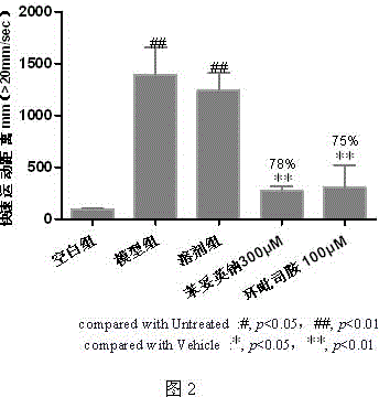 Application of ciclopirox olamine in preparation of medicine for treating or preventing epilepsy