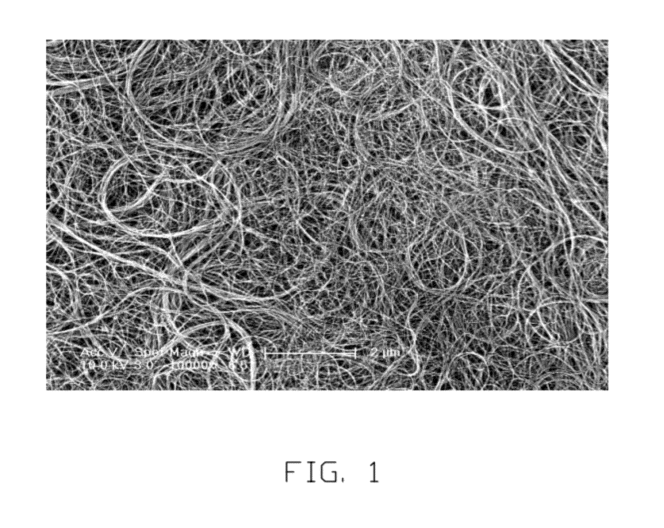 Carbon nanotube structure