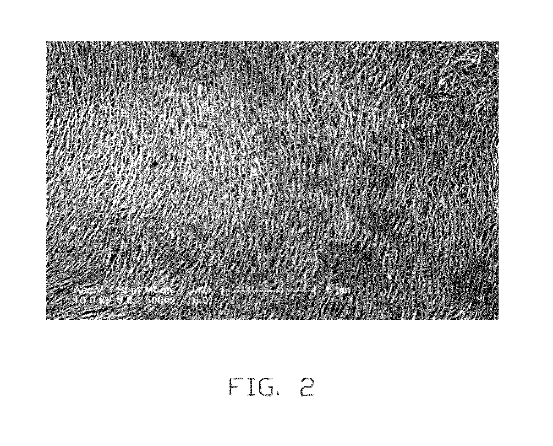 Carbon nanotube structure