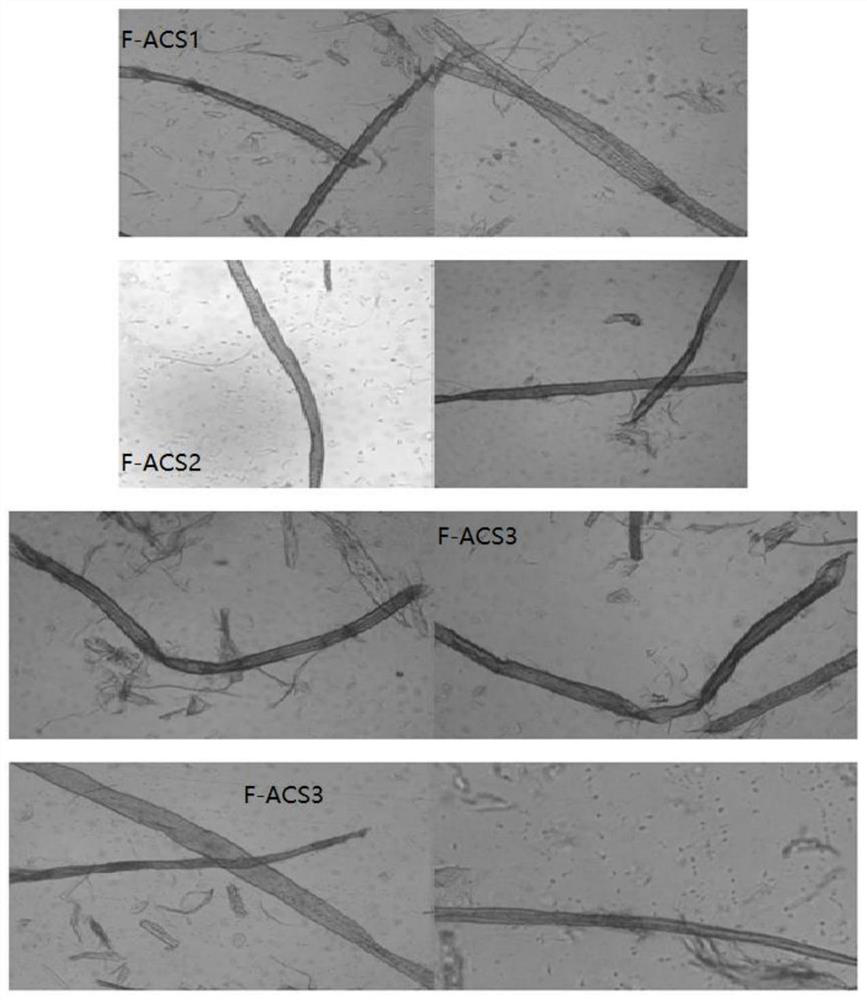 Method for detecting accessibility of plant fibers