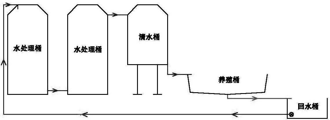 Pipeline system for industrial cultivation of Trachidermus fasciatus