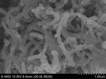 A carbon nanotube-based magnetic nanocomposite material and its preparation method