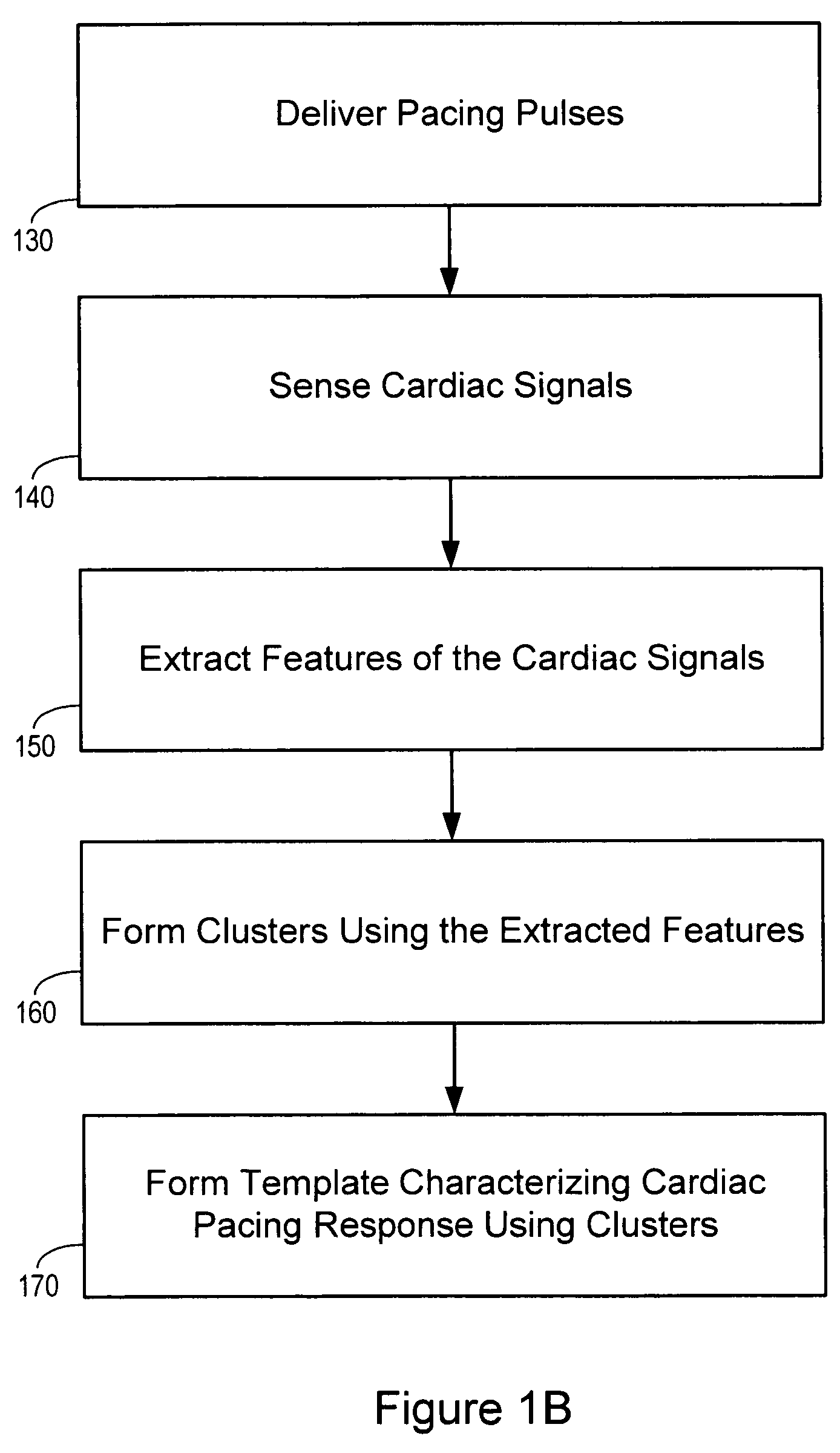 Cardiac signal template generation using waveform clustering