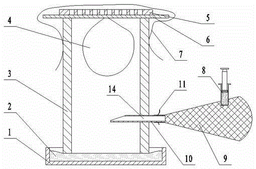 Honeycomb chamber for vespid culturing