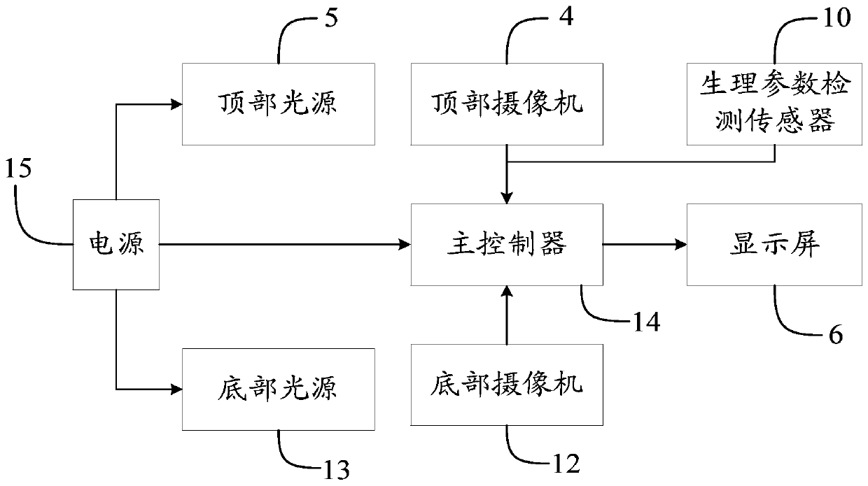 Hand vein recognition method and device for dual living body verification