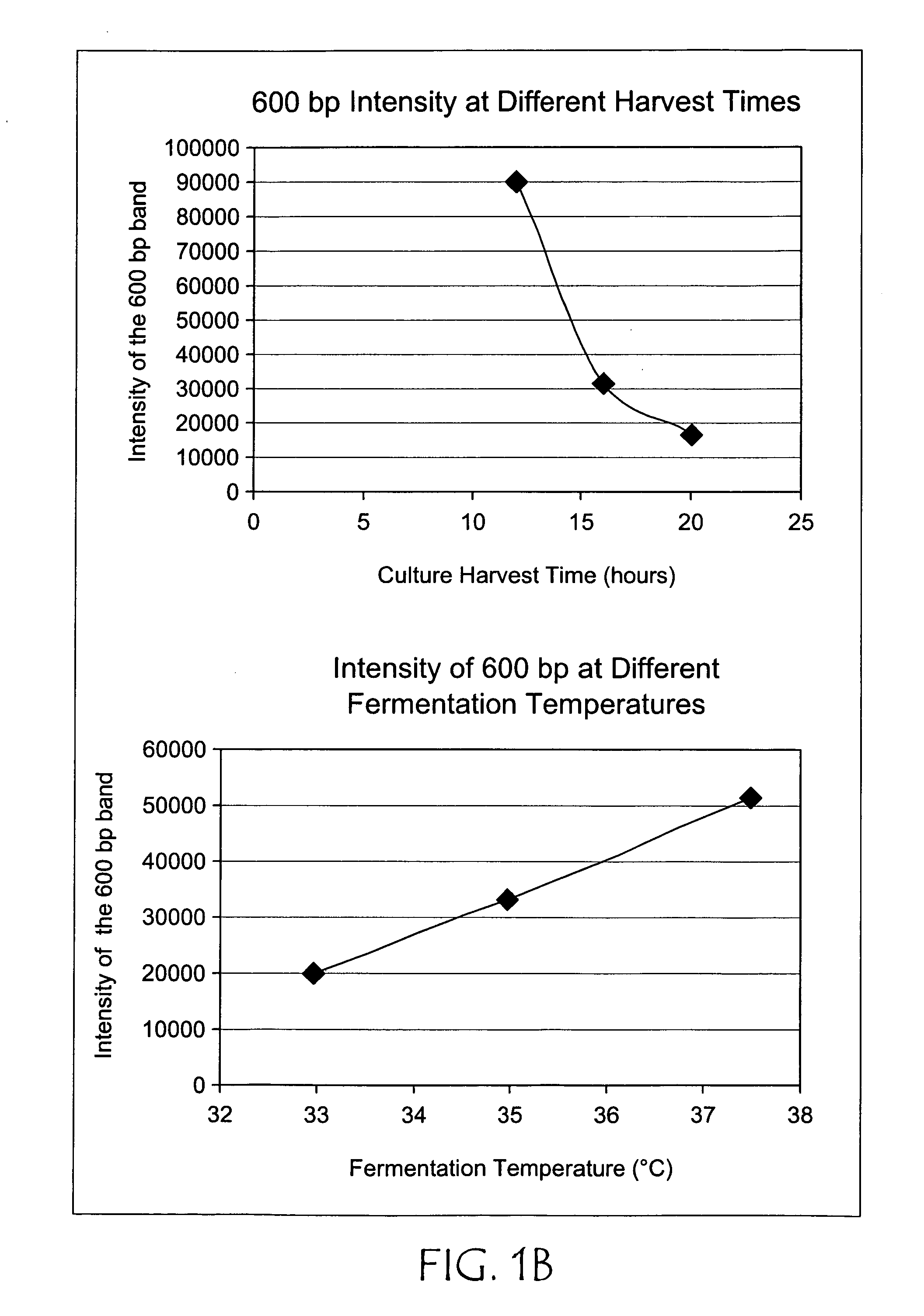 Avoidance of undesirable replication intermediates in plasmid propagation