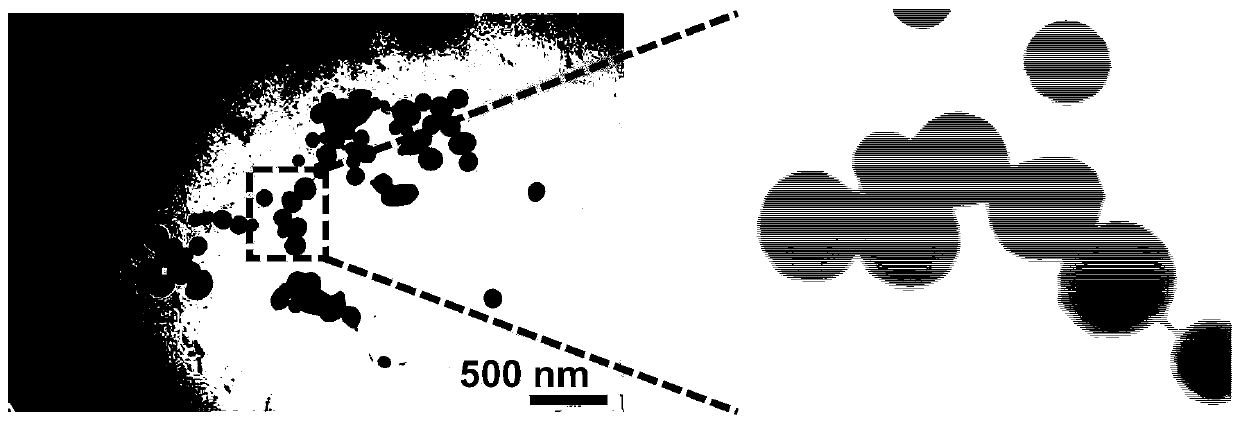 Application of nano-selenium as cik cell sensitizer