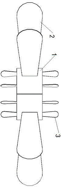 Fan of asynchronous motor