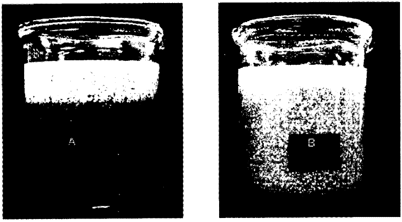 Low protein and protein-free extended shelf life (esl) and shelf-stable aseptic liquid creamers and process of making thereof