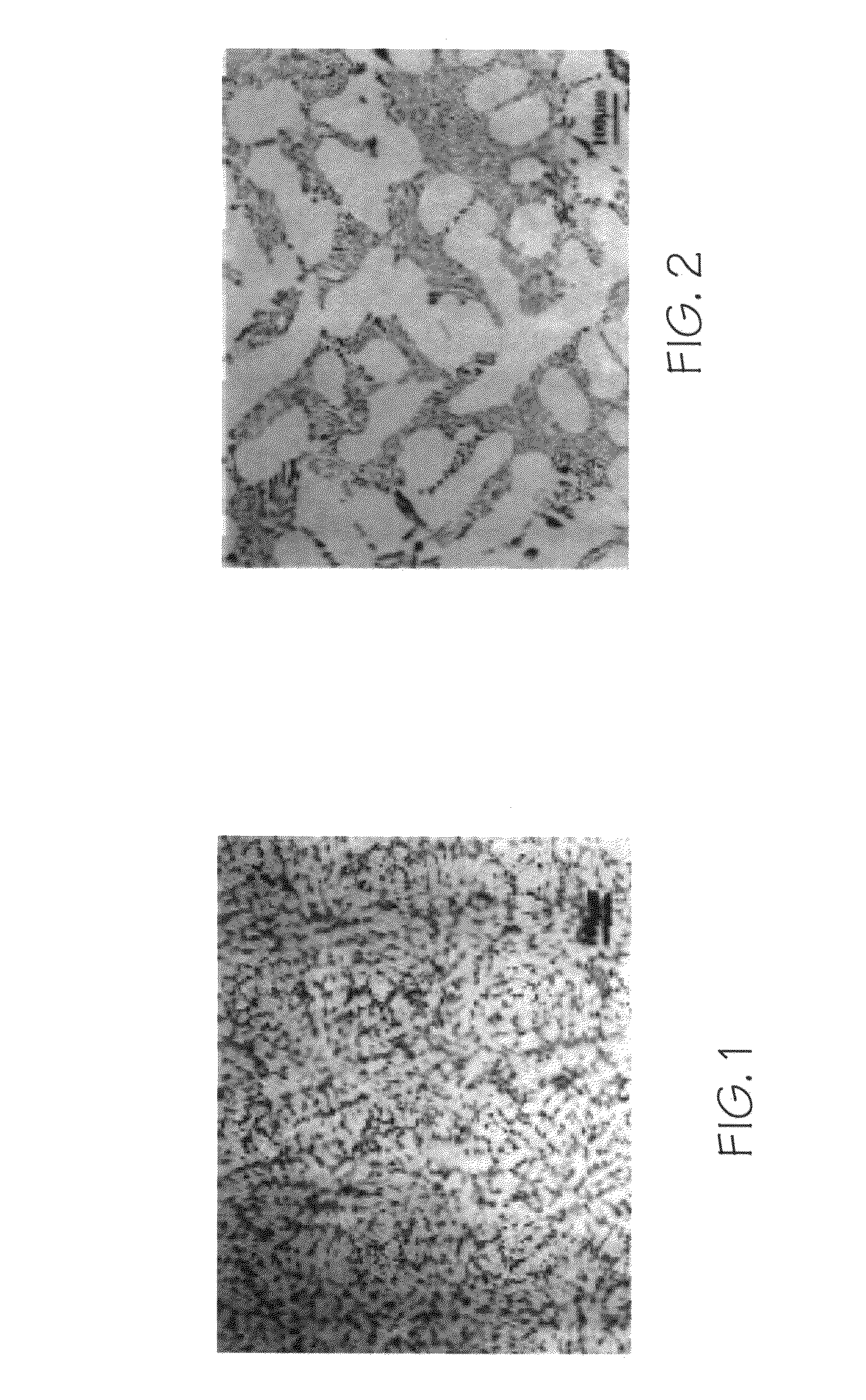 Material property distribution determination for fatigue life calculation using dendrite arm spacing and porosity-based models