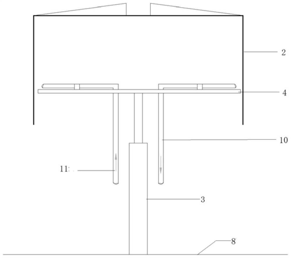 Temperature-controlled circulating water system for jellyfish breeding