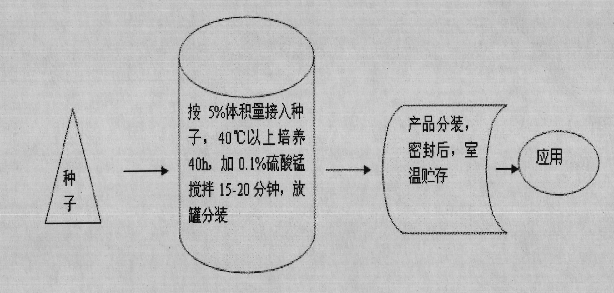 Production process of microbial preparation for baking tobacco leaves