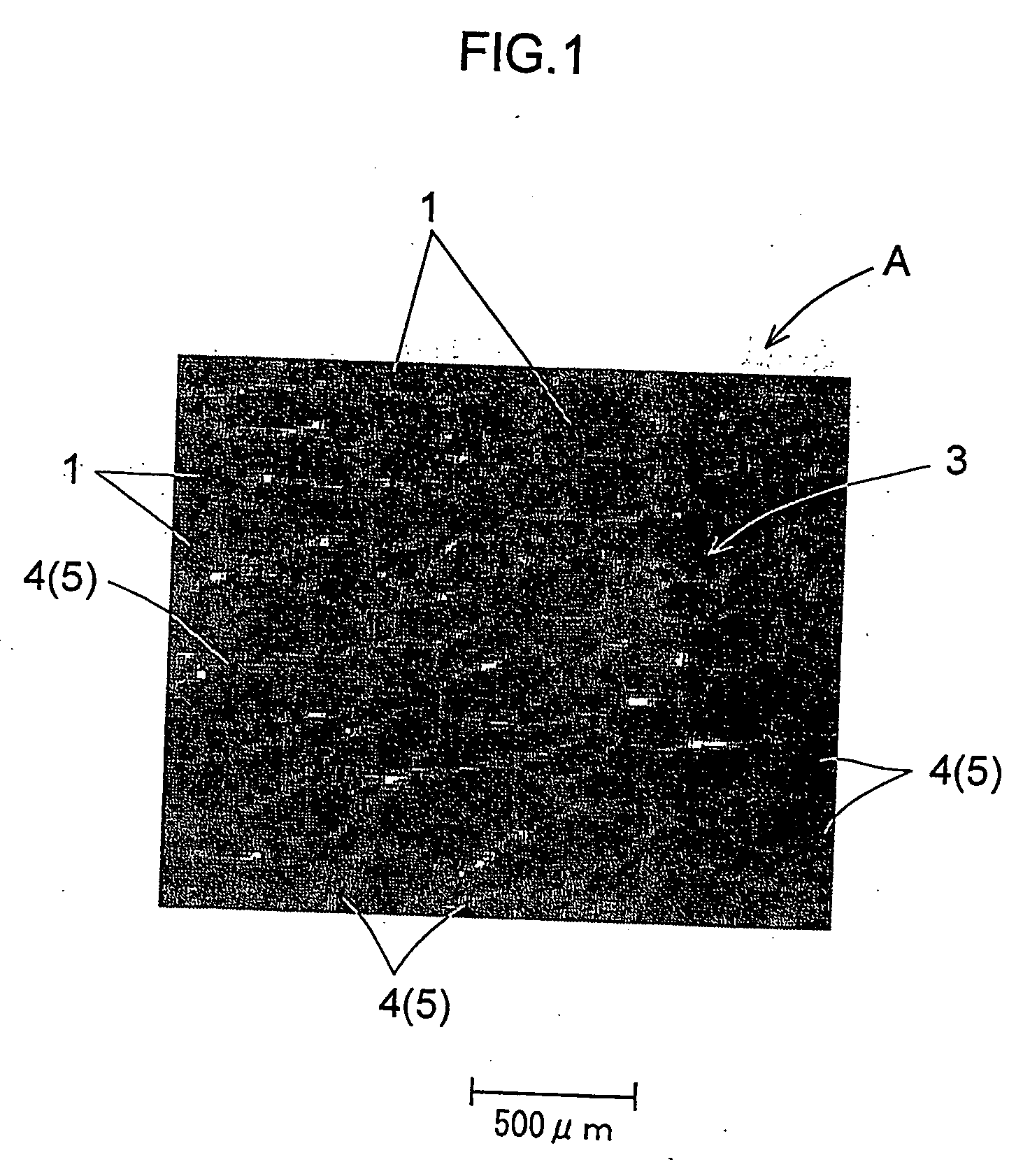 Metal resin composite and process for producing the same