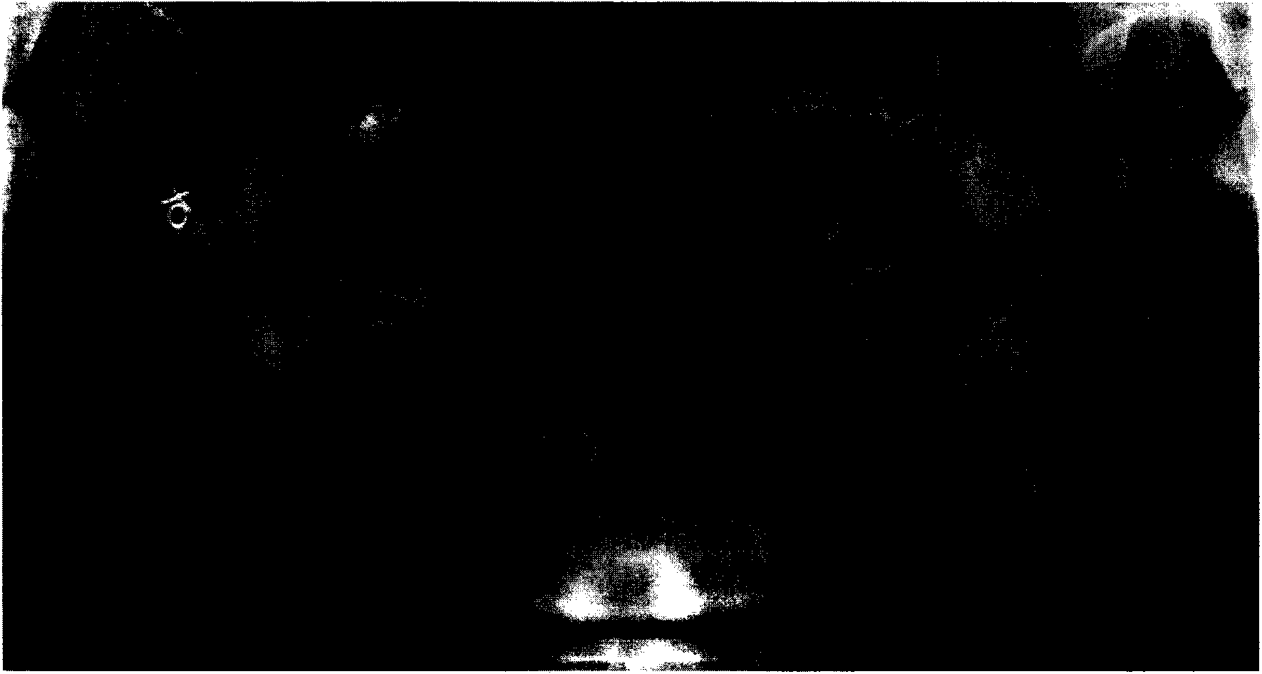 Spatial-domain filtering-based CBCT (Cone Beam Computed Tomography) panoramic image sharpening method