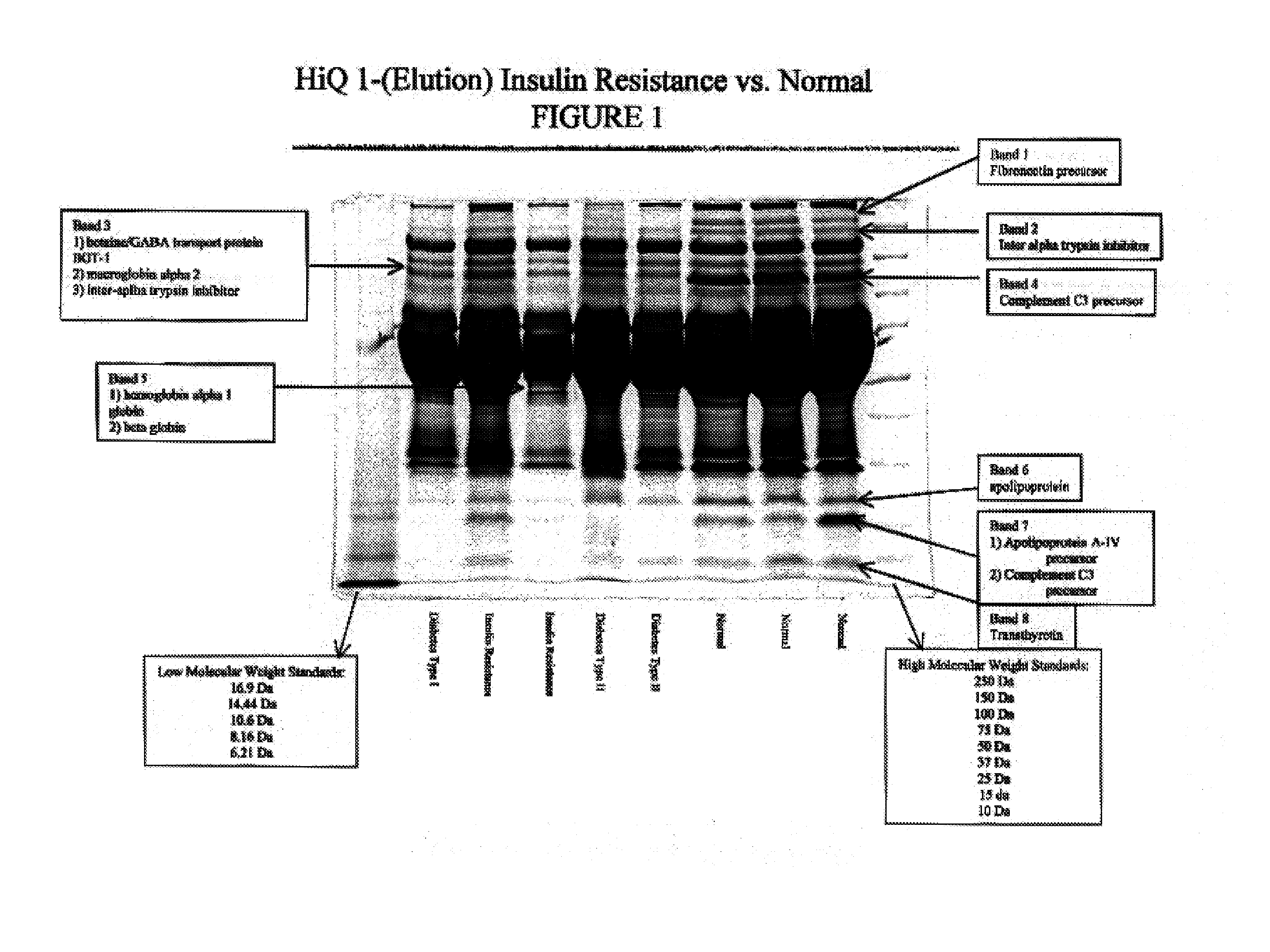 Protein biopolymer markers indicative of insulin resistance