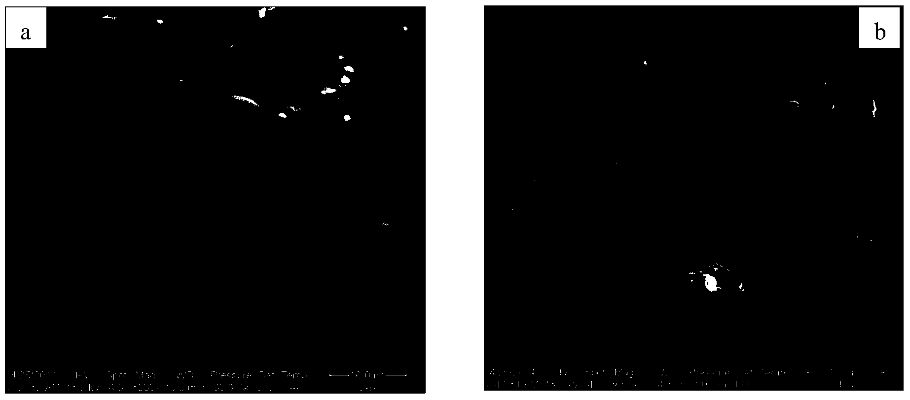 Granular filtering material for adsorbing and removing heavy metals in water and preparation method thereof