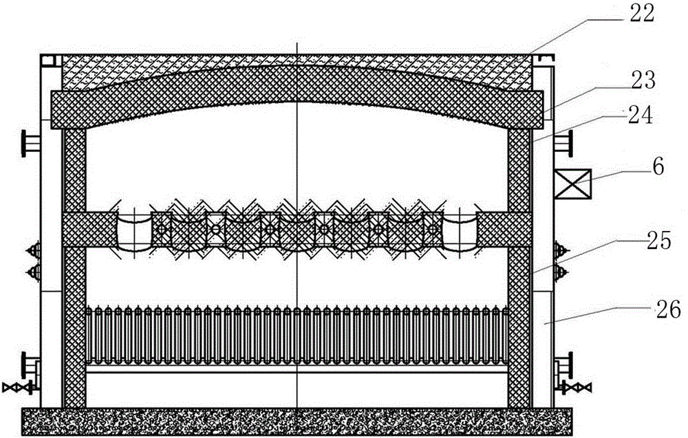 Biomass furnace and device for removing nitric oxide in same